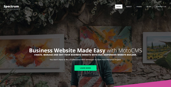 шаблон spectrum business moto cms 3