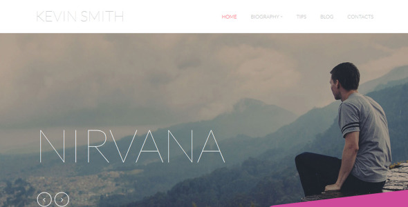 профессиональные писатели moto cms 3 шаблон