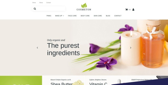 отзывчивый шаблон электронной коммерции motocms для ухода за кожей