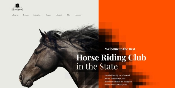 Конный спорт и верховая езда клуб wordpress тема
