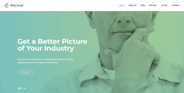 агентство бизнес-анализа и маркетинговых исследований wordpress theme