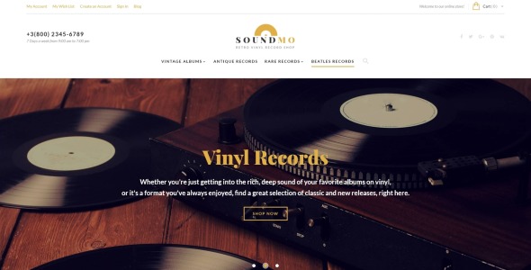 виниловые и аудиопродукты magento theme