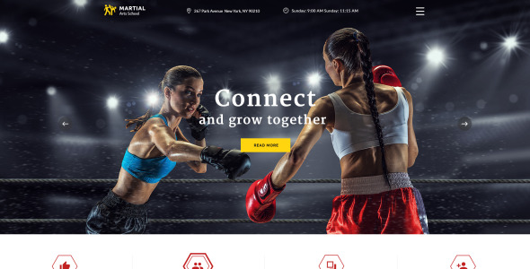 школа боевых искусств отзывчивый многостраничный шаблон сайта