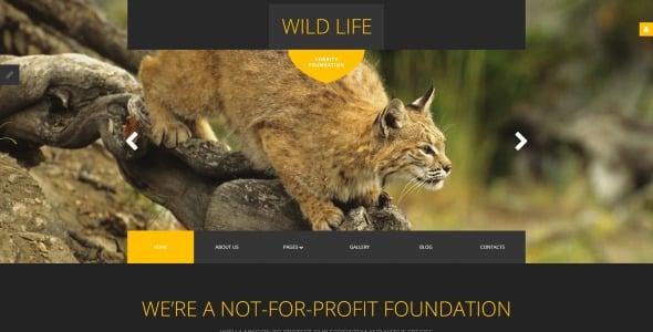 wild life отзывчивый шаблон joomla