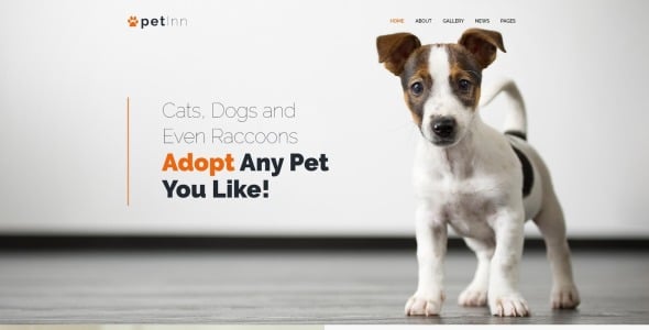 приют для животных отзывчивая тема wordpress