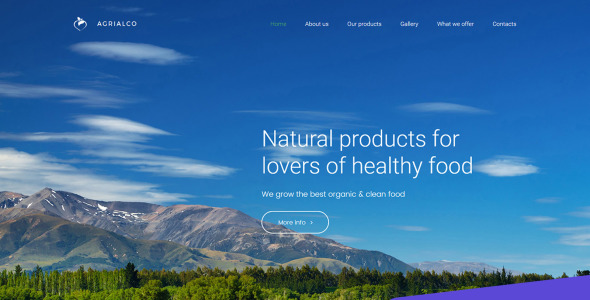 премиум шаблон moto cms 3