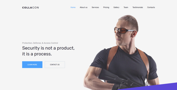 премиум шаблон moto cms 3