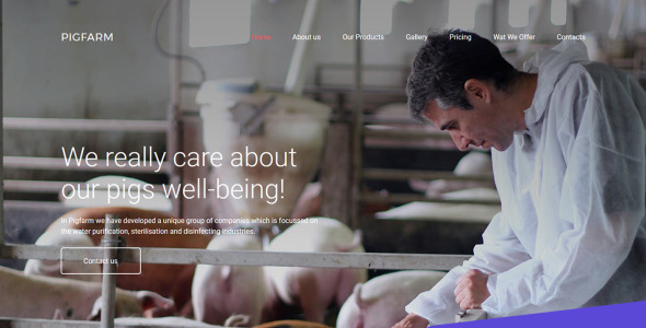 премиум moto cms 3 шаблон