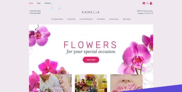 цветочный магазин motocms шаблон электронной коммерции