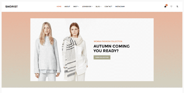 отзывчивая стильная тема электронной коммерции woocommerce theme