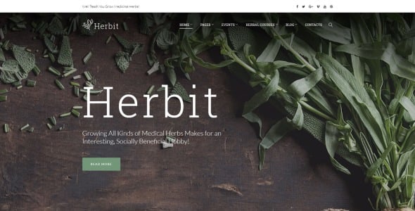 herbit wordpress тема