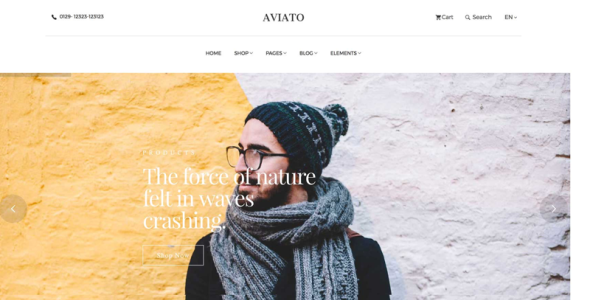 aviato элегантный шаблон сайта электронной коммерции