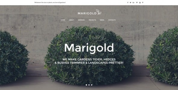 внешний дизайн moto cms html шаблон