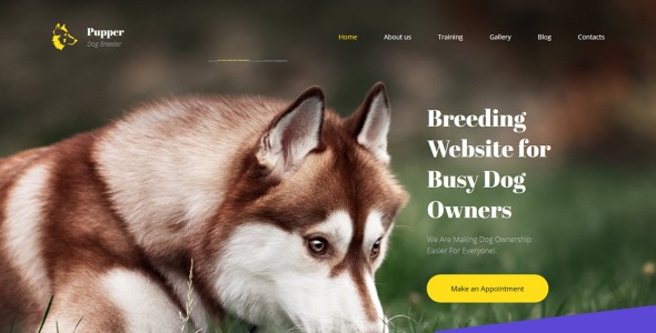 шаблон dogs breeder premium moto cms 3