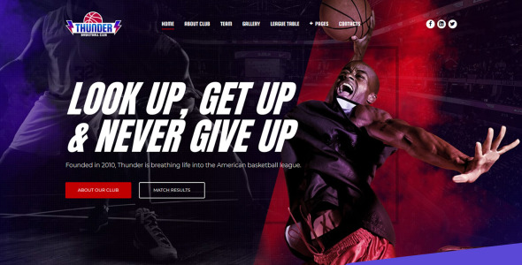 баскетбольный клуб премиум moto cms 3 шаблон