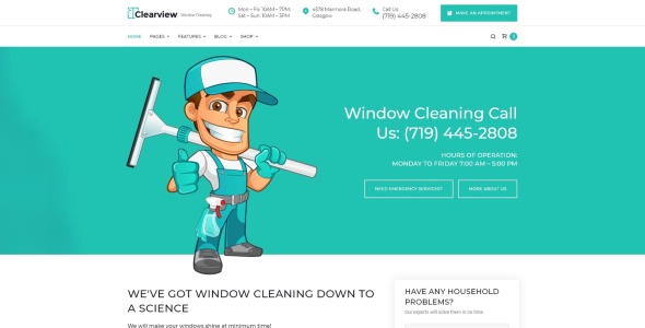 услуги по очистке окон wordpress тема