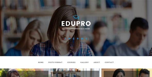 образовательный блог wordpress тема