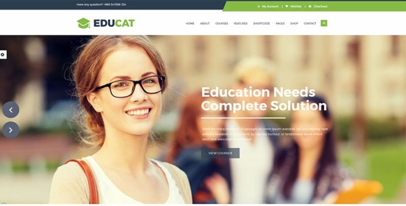 шаблон образовательного сайта