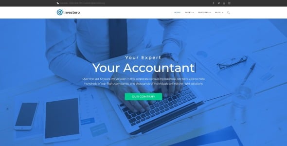бухгалтер эксперт отзывчивая тема wordpress