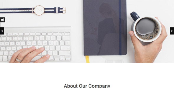 универсальный шаблон сайта luisa