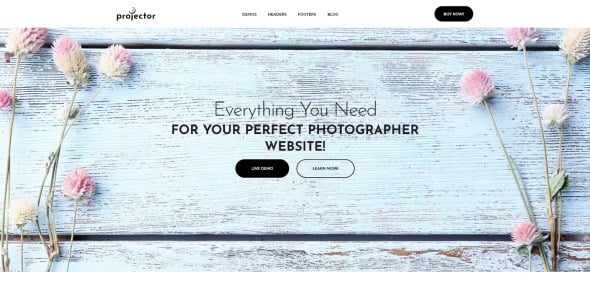 фотограф портфолио multihome wordpress тема