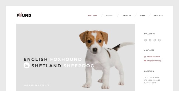 отзывчивый шаблон сайта для ухода за животными