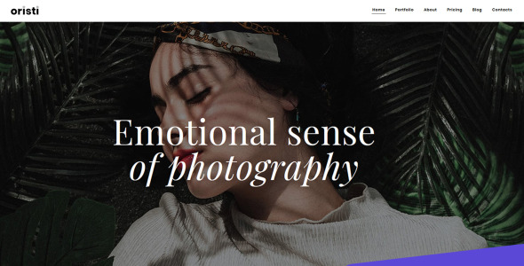 фотограф портфолио moto cms 3 шаблон