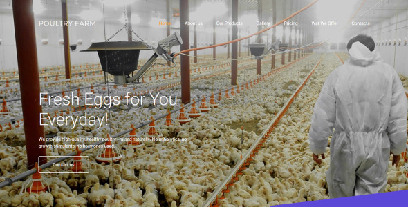 птицефабрика премиум moto cms 3 шаблон