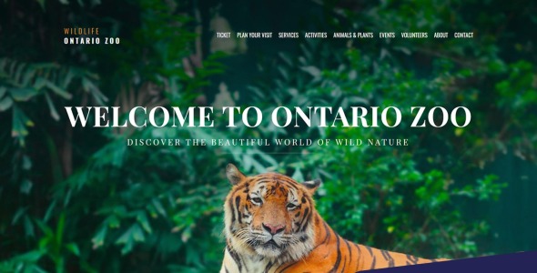 zoo premium moto cms 3 шаблон