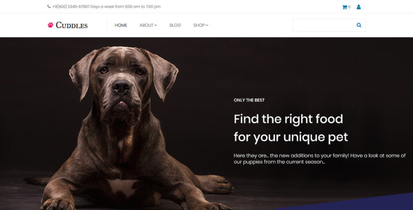шаблон электронной коммерции pet store motocms