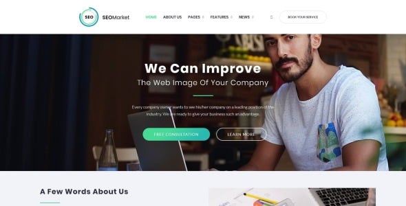 seo сайт wordpress тема