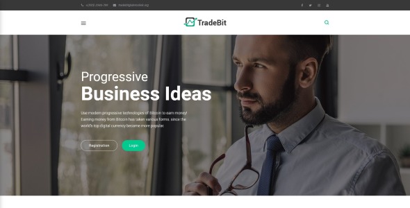 торговая тема wordpress