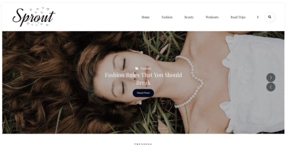 личный блог wordpress тема