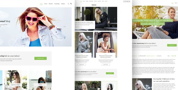 PSD шаблон на тему личный консультант