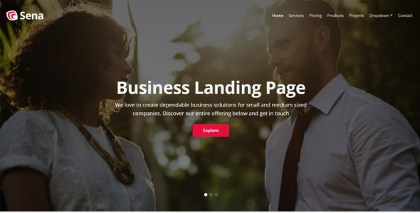 шаблон бизнес-целевой страницы