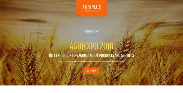 в шаблоне целевой страницы novi builder