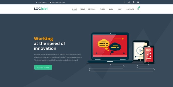 софтверная компания wordpress theme