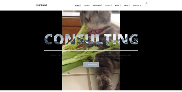 классный финансовый советник wordpress тема