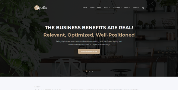 интернет бизнес бухгалтерия wordpress тема