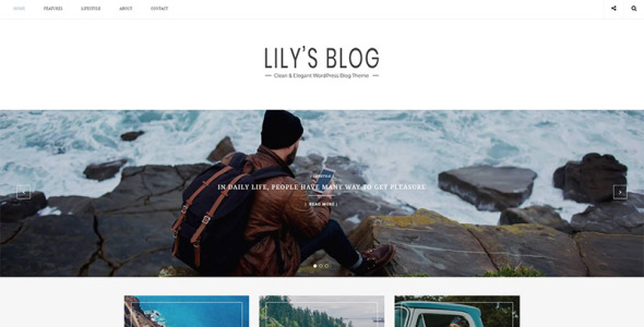 чистый и элегантный блог wordpress тема