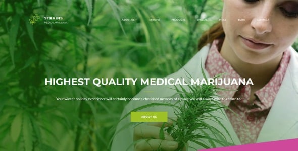 премиум шаблон moto cms 3