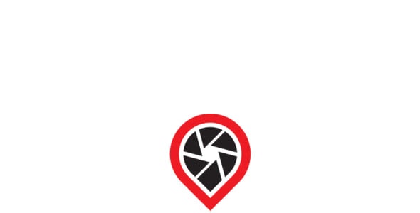 Шаблон логотипа на тему графика