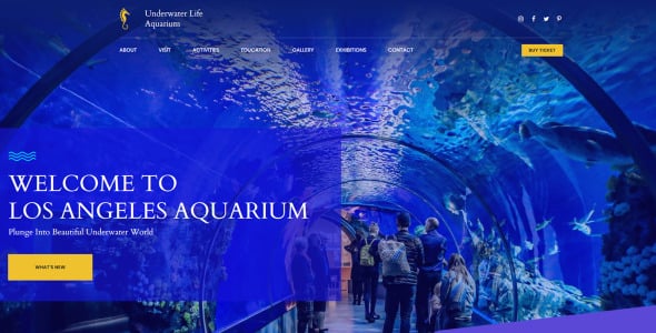 публичный аквариум премиум moto cms 3 шаблон