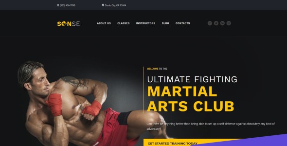 шаблон клуба боевых искусств moto cms 3