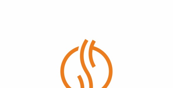 Шаблон логотипа на тему графика