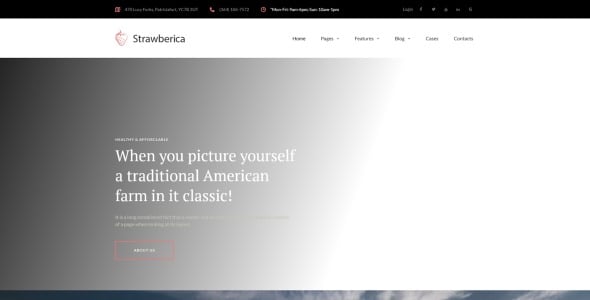 веганская ферма отзывчивая тема wordpress