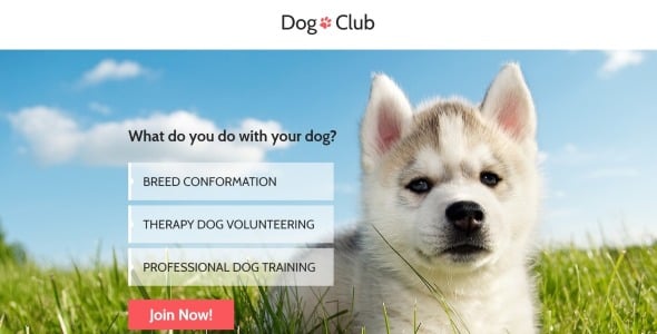 собаковод совместим с шаблоном целевой страницы novi builder