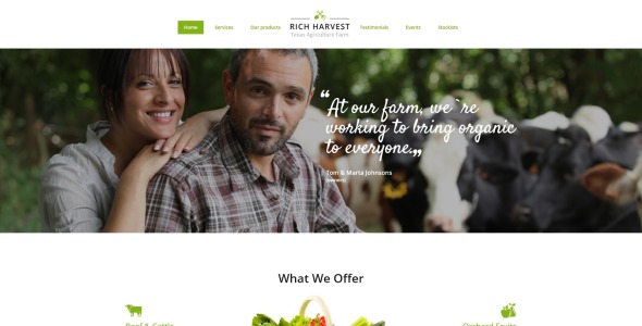 в шаблоне целевой страницы novi builder