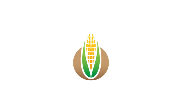 Шаблон логотипа на тему графика