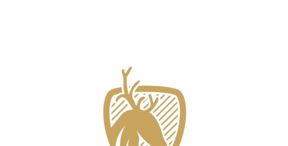 Шаблон логотипа на тему графика